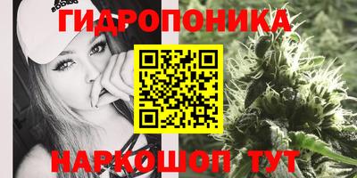 мяу мяу мука Балаково