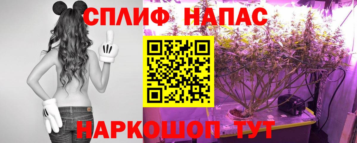 Каннабис OG Kush  Марихуана план  Вход с VPN  Бошки Шишки SATIVA & INDICA  Апшеронск 